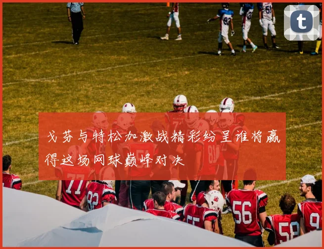 戈芬与特松加激战精彩纷呈谁将赢得这场网球巅峰对决