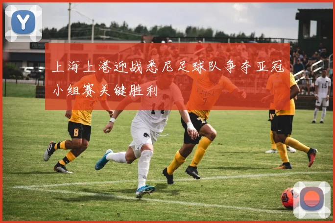 上海上港迎战悉尼足球队争夺亚冠小组赛关键胜利