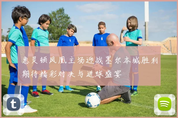 惠灵顿凤凰主场迎战墨尔本城胜利期待精彩对决与进球盛宴