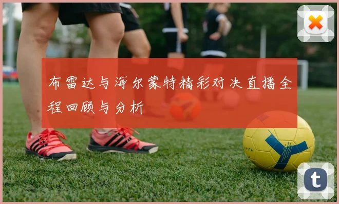 布雷达与海尔蒙特精彩对决直播全程回顾与分析