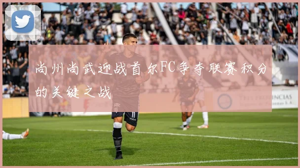 尚州尚武迎战首尔FC争夺联赛积分的关键之战