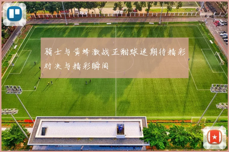 骑士与黄蜂激战正酣球迷期待精彩对决与精彩瞬间